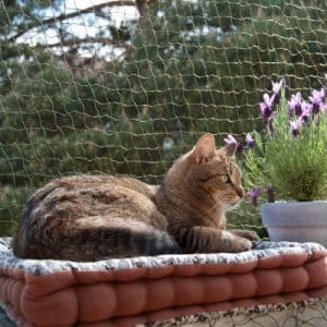 Katzenschutznetz mit Drahtverstärkung - 4 x 3 m