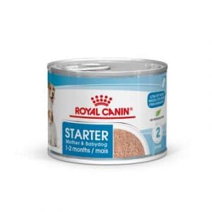 Royal Canin Starter Mousse Mother & Babydog - 12 x 195 g