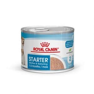 Royal Canin Starter Mousse Mother & Babydog - 24 x 195 g