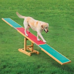 Trixie Agility Wippe - L 300 x B 34 x H 54 cm