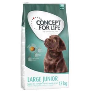 Concept for Life Large Junior - Sparpaket 2 x 12 kg