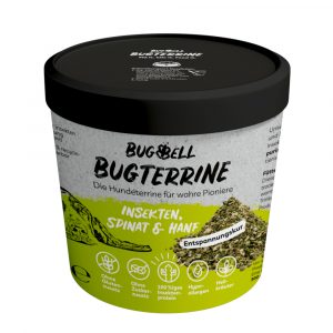 BugBell BugTerrine Adult Insekten