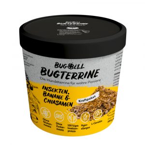 BugBell BugTerrine Adult Insekten