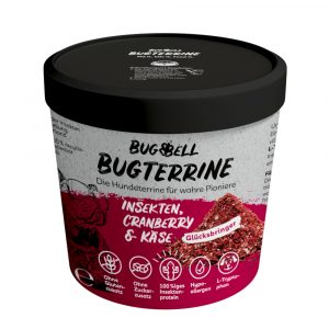 BugBell BugTerrine Adult Insekten