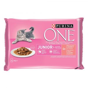 Purina ONE Junior - Junior