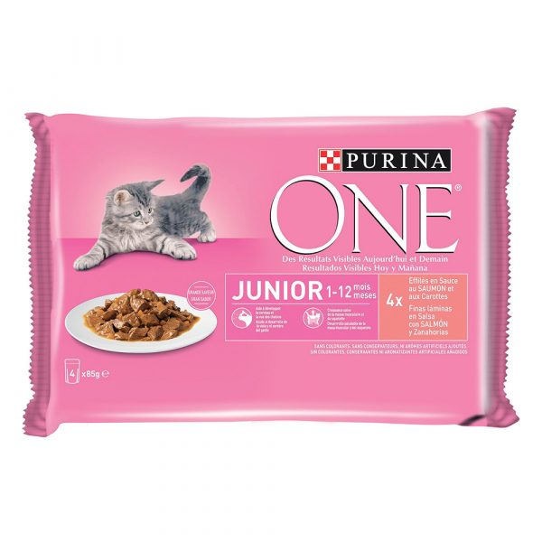 Purina ONE Junior - Junior