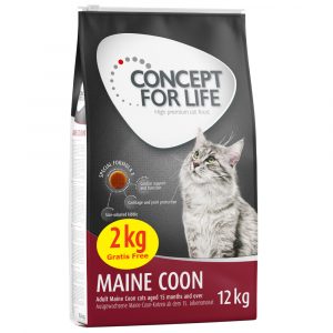 10 + 2 kg gratis! 12 kg Concept for Life für Katzen im Bonusbag - Maine Coon (10 + 2 kg)