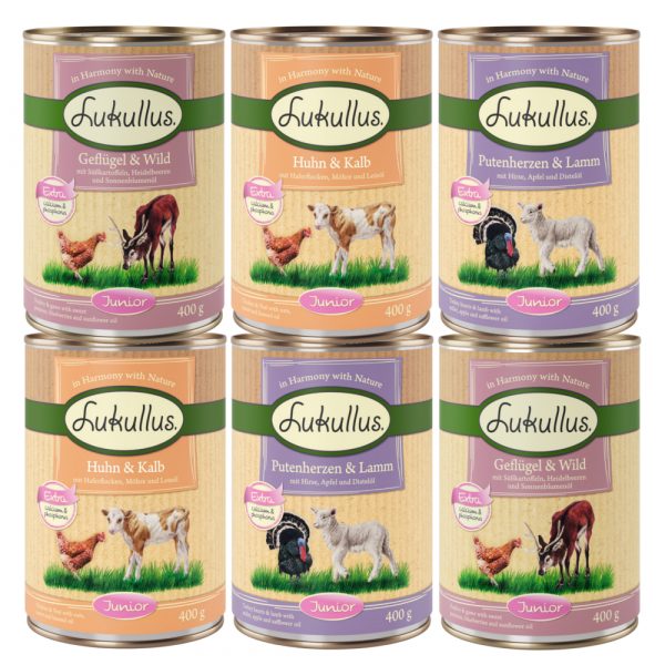 Lukullus Naturkost Junior Probierpakete - 6 x 400 g