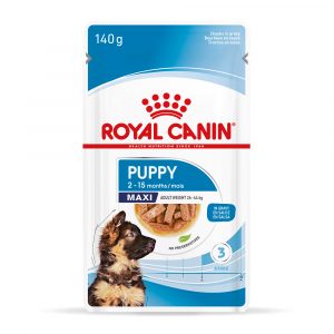 Royal Canin Maxi Puppy in Soße - 10 x 140 g