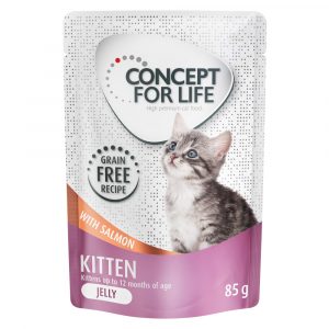 12 x 85 g Concept for Life getreidefrei zum Sonderpreis! - Kitten Lachs - in Soße