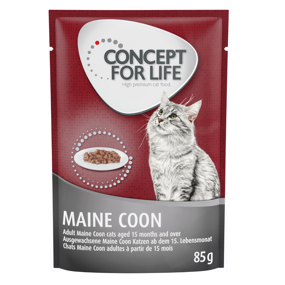 20 + 4 gratis! Concept for Life 24 x 85 g - NEU: Maine Coon Adult (Ragout-Qualität)