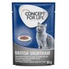 Concept for Life British Shorthair Adult (Ragout-Qualität) - 24 x 85 g