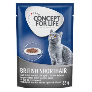 Sparpaket Concept for Life 24 x 85 g  - NEU: British Shorthair Adult (Ragout-Qualität)