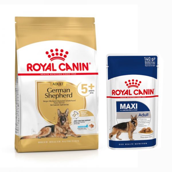 Royal Canin Adult Breed Trockenfutter + passendes Nassfutter gratis! - German Shepherd 5+ (12 kg) + Maxi Adult in Soße (10 x 140 g)