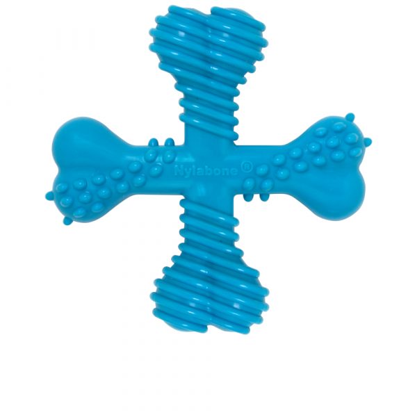 Nylabone Adult X-Bone Kauspielzeug - Größe L: ca. L 14 x B 14 x H 4 cm