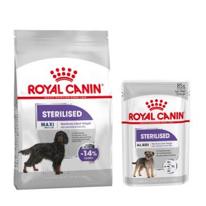 Großgebinde Royal Canin CCN Trockenfutter + 12 x 85 g passendes Nassfutter gratis! - 12 kg Maxi Sterilised + 12 x 85 g Sterilised