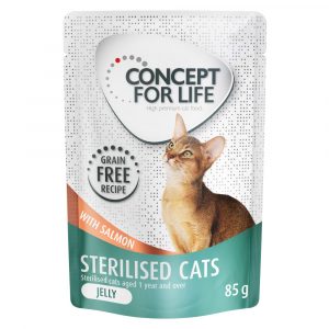 36 + 12 gratis! 48 x 85 g Concept for Life getreidefrei - Sterilised Cats Lachs - in Gelee