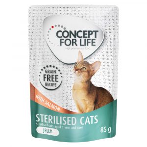 12 x 85 g Concept for Life getreidefrei zum Sonderpreis! - Sterilised Cats Lachs - in Gelee