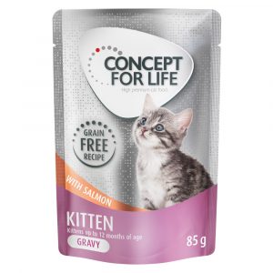 36 + 12 gratis! 48 x 85 g Concept for Life getreidefrei - Kitten Lachs - in Soße