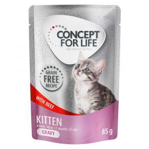 36 + 12 gratis! 48 x 85 g Concept for Life getreidefrei - Kitten Rind - in Soße