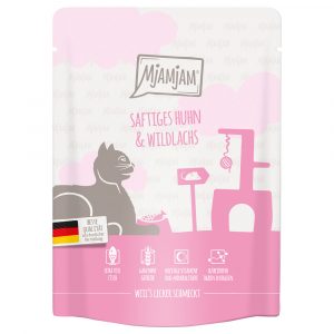 Sparpaket MjAMjAM Quetschie 24 x 300 g - saftiges Huhn und Wildlachs