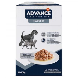 2 Beutel gratis! 8 x 150 g / 11 x 100 g Advance Veterinary Diets - Recovery (11 x 100 g)