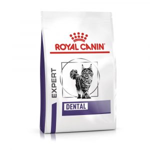 Royal Canin Expert Feline Dental - Sparpaket: 2 x 1