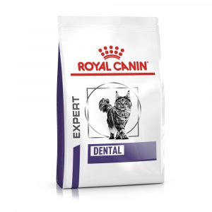Royal Canin Expert Feline Dental - Sparpaket: 2 x 1