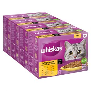 Jumbopack Whiskas 1+ Adult Frischebeutel 96 x 85 g - Geflügelauswahl in Sauce