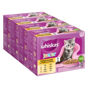 Jumbopack Whiskas Junior Frischebeutel 96 x 85 g - Geflügelauswahl in Gelee