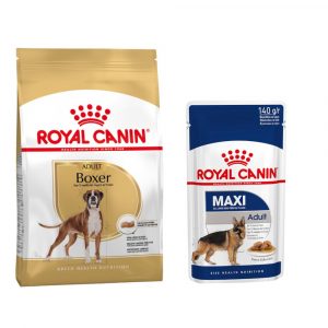Royal Canin Adult Breed Trockenfutter + passendes Nassfutter gratis! - Boxer (12 kg) + Maxi Adult in Soße (10 x 140 g)