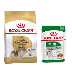 Royal Canin Adult Breed Trockenfutter + passendes Nassfutter gratis! - Cavalier King Charles (7