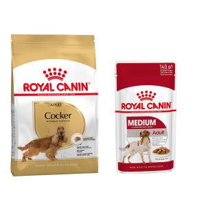 Royal Canin Adult Breed Trockenfutter + passendes Nassfutter gratis! - 12 kg Cocker + 10 x 140 g Medium Adult in Soße