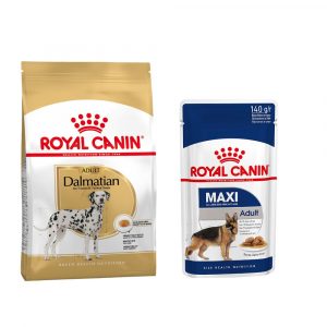 Royal Canin Adult Breed Trockenfutter + passendes Nassfutter gratis! -  Dalmatian (12 kg) + Maxi Adult in Soße (10 x 140 g)