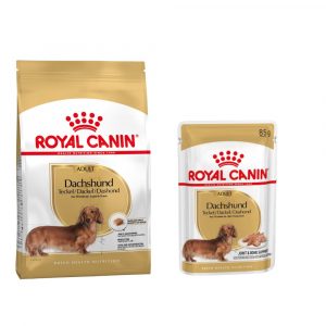 Royal Canin Adult Breed Trockenfutter + passendes Nassfutter gratis! - Dachshund (7