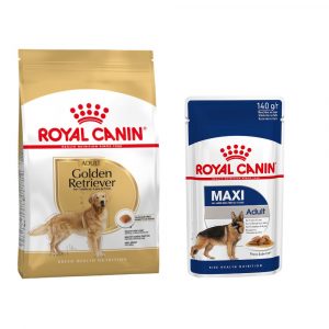 Royal Canin Adult Breed Trockenfutter + passendes Nassfutter gratis! - Golden Retriever (12 kg) + Maxi Adult in Soße (10 x 140 g)
