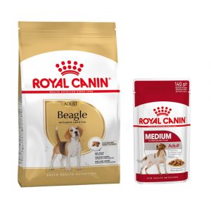 Royal Canin Adult Breed Trockenfutter + passendes Nassfutter gratis! -  Beagle (12 kg) + Medium Adult in Soße (10 x 140 g)