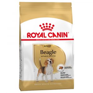 Royal Canin Beagle Adult - Sparpaket: 2 x 12 kg