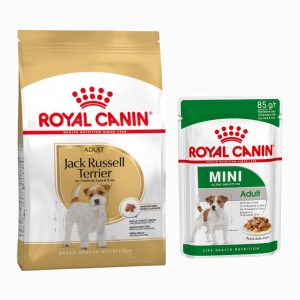 Royal Canin Adult Breed Trockenfutter + passendes Nassfutter gratis! - Jack Russell Terrier (7
