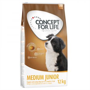 Sparpaket Concept for Life 2 x Großgebinde - Medium Junior (2 x 12 kg)