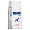 Royal Canin Veterinary Mixpaket - Renal Special (10 kg + 12 x 410 g)