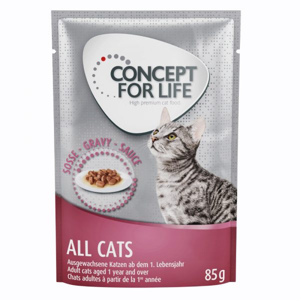 20 + 4 gratis! Concept for Life 24 x 85 g - All Cats in Soße                 