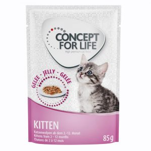 20 + 4 gratis! Concept for Life 24 x 85 g - Kitten in Gelee                      