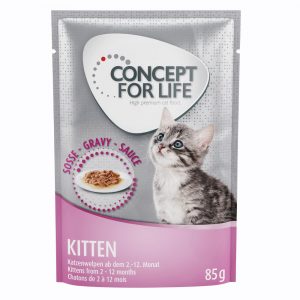 20 + 4 gratis! Concept for Life 24 x 85 g - Kitten in Soße       
