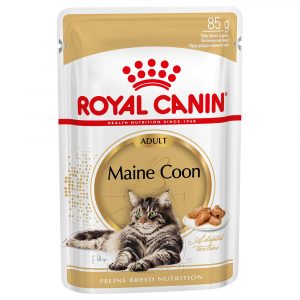 Royal Canin Maine Coon Adult in Soße - 48 x 85 g