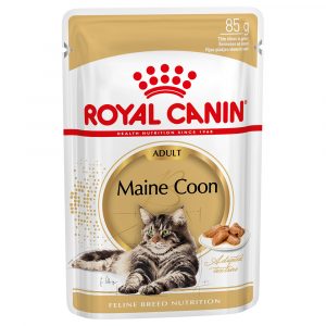 Royal Canin Maine Coon Adult in Soße - 96 x 85 g