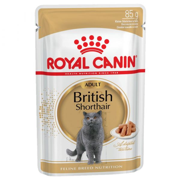 Royal Canin British Shorthair Adult in Soße - 96 x 85 g