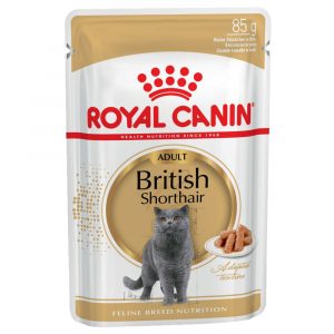 Royal Canin British Shorthair Adult in Soße - 48 x 85 g