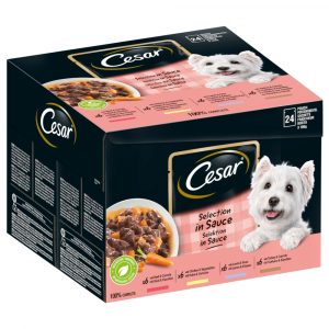 Cesar Portionsbeutel Nassfutter zum Sonderpreis! - Frischebeutel Favoriten in Sauce 24 x 100 g