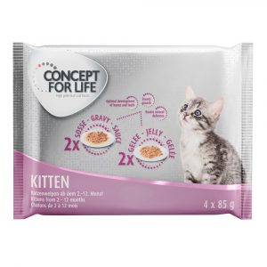 4 x 85 g Concept for Life zum Probierpreis! - Kitten